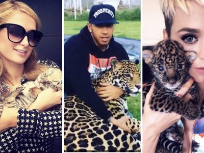 Desde las Kardashian hasta Maluma, los famosos que visitaron Black Jaguar-White Tiger
