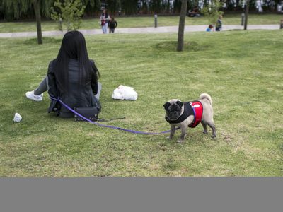 CDMX prohíbe negar renta o compra de inmuebles a personas con menores de edad o mascotas