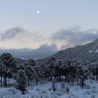 Cuándo llegan las nevadas a Neuquén: los detalles de la AIC