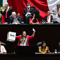 Diputados aprueban en lo particular el “plan B”; eliminan la transferencia de votos