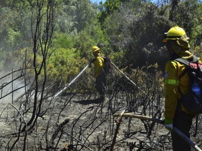 Combaten incendios en una zona de muy difícil acceso en el sur de Bariloche