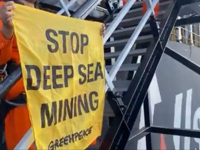 Minería en aguas profundas: La codicia amenaza el último refugio oceánico