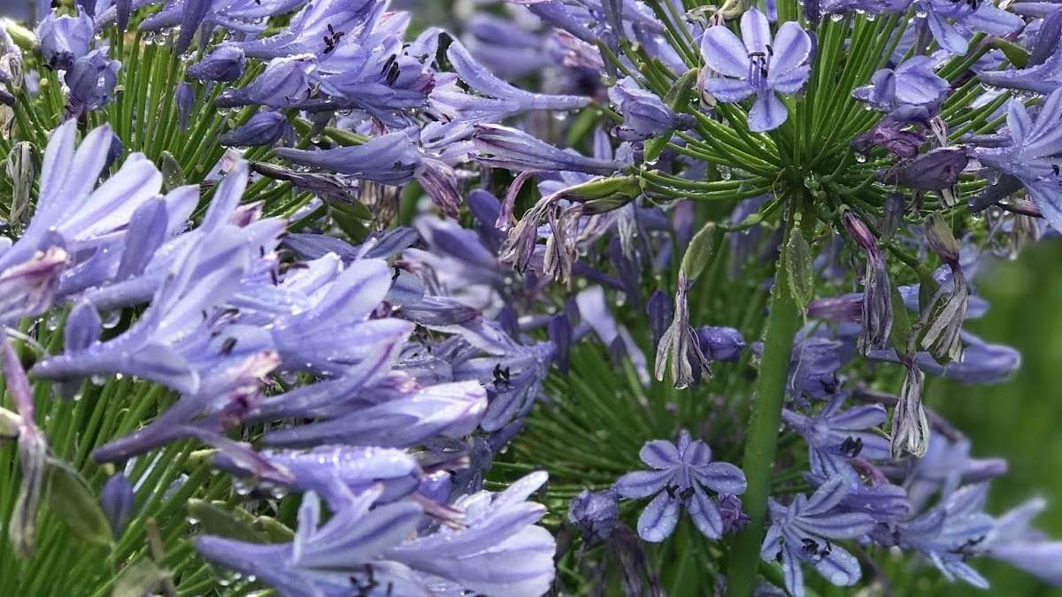 Plantas. Fuente: (Instagram)