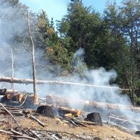 Quien realice quemas en el Parque Nacional Nahuel Huapi será sancionado