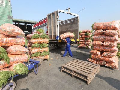 El INTA brinda un protocolo para distribuir bolsones de verduras