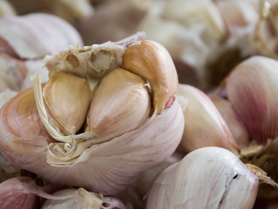 Estas son las variedades de ajo que seguro no conocías: cuál es mejor para tu salud y tus comidas