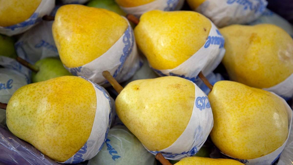 Chacareros piden un "dólar fruta" para los productos de exportación del sector. Fuente: (Infobae)