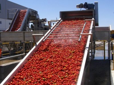 La pandemia visibilizó la importancia de la producción agroalimentaria