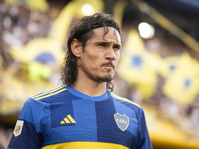 Las Palmeras que engalanan el parque y la pileta de la casa de Edinson Cavani en Ezeiza