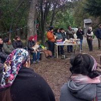 La justicia ordenó el desalojo de la comunidad mapuche Quintriqueo de una propiedad en Villa La Angostura