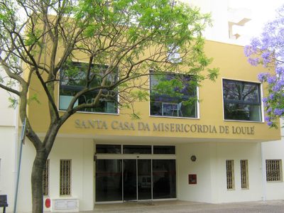 Hallaron en una residencia a una anciana cubierta de hormigas: el caso que conmociona a Portugal