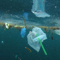 Cruzada de Canadá contra el plástico: a fines de 2021 las bolsas y los sorbetes serán ilegales