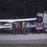 Un jabalí ataca a un niño de 12 años en Durango