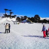 Neuquén: cuáles son las mejores escapadas para un fin de semana en grupo