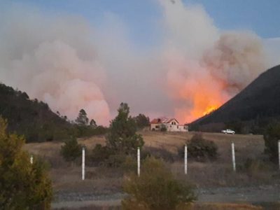Se desata incendio en Sierra de Arteaga, Coahuila; viento impide que logre ser controlado (Videos)