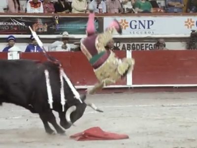 Las graves cornadas que sufrieron Arturo Macías y Joselito Adame en la Feria de San Marcos (Videos)