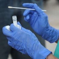 Coronavirus: 5 pacientes fallecidos y 254 nuevos casos en Río Negro