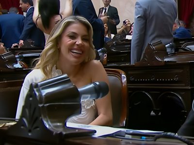 El curioso juramento de Virginia Gallardo en la Cámara de Diputados
