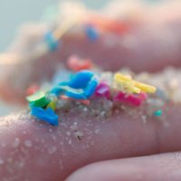 Un peligro para tu familia: 5 formas simples de evitar el consumo y la exposición a microplásticos