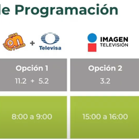 Estos son los horarios y la programación de la SEP para las clases por televisión