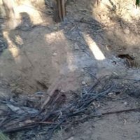 Investigan hallazgo de una narcofosa con seis cuerpos en Tepetlaoxtoc, Edomex