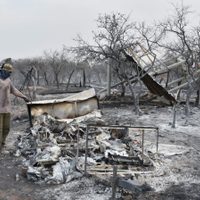 Córdoba arrasada: las llamas fueron contenidas y se comienza a ver la magnitud del daño