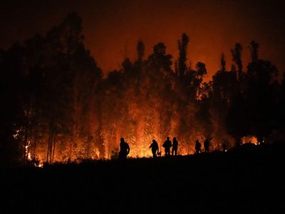Chile: Incendios han causado muerte de 24 personas