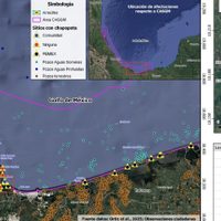 Denuncian que derrame de petróleo en costas de Veracruz y Tabasco no ha sido atendido