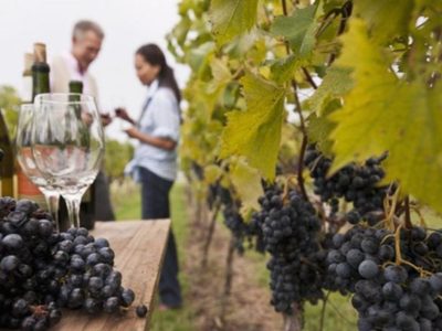 La Pampa fomenta el Enoturismo provincial y patagónico