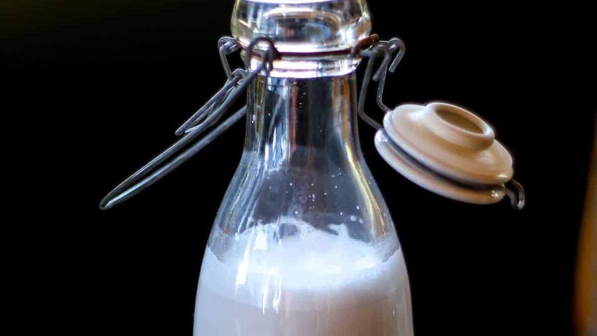 Leche de coco. Fuente: (Instagram)