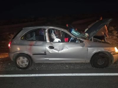 Choque en Ruta Provincial 5 cerca de Rincón de los Sauces: un auto impactó contra un caballo
