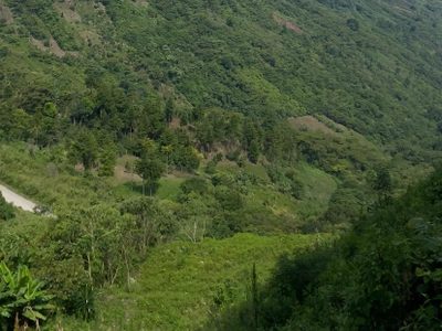 Jueza niega amparo a indígenas que buscan detener la construcción de la vía San Cristóbal-Palenque