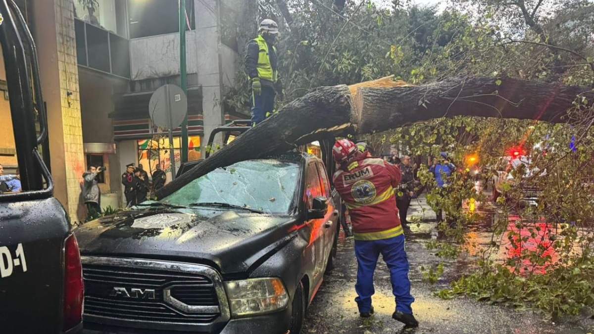 Caída de árbol