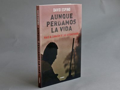 Una radiografía de las autodefensas