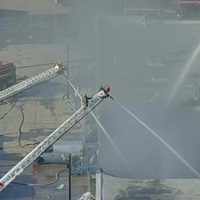Cientos de animales mueren en incendio de centro comercial en Dallas