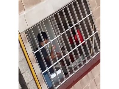 Joven da golpiza a un gato en la CDMX; ya rescataron al animal (Videos)