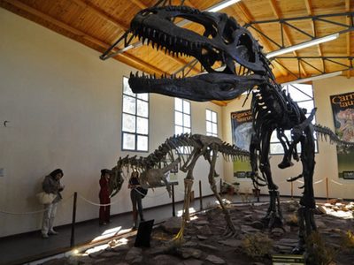 Dinosaurios: harán un parque y un museo con restos fósiles encontrados en Neuquén Capital