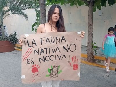 Contrato del Tren Maya contra jaguares, venados y tapires desata indignación entre ambientalistas