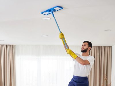 Cuál es la mejor manera de limpiar las telarañas y evitar que vuelvan a aparecer