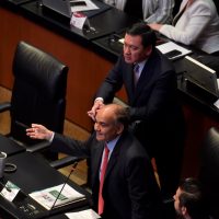Despenalizar el cultivo de amapola, propone el PRI en el Senado