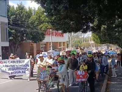 Gobierno de Puebla debe frenar tala de árboles por proyecto de Cablebús