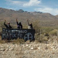 Un integrante de la RAM reveló cómo funciona la organización clandestina de Jones Huala