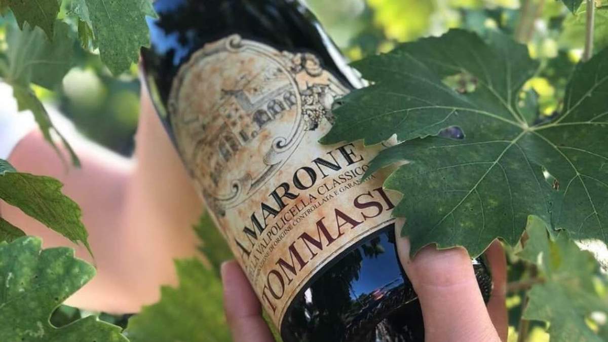 Vino italiano elaborado con uvas pasas. Fuente: (Instagram)