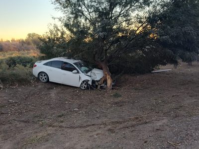 Una policía está grave tras chocar contra un árbol