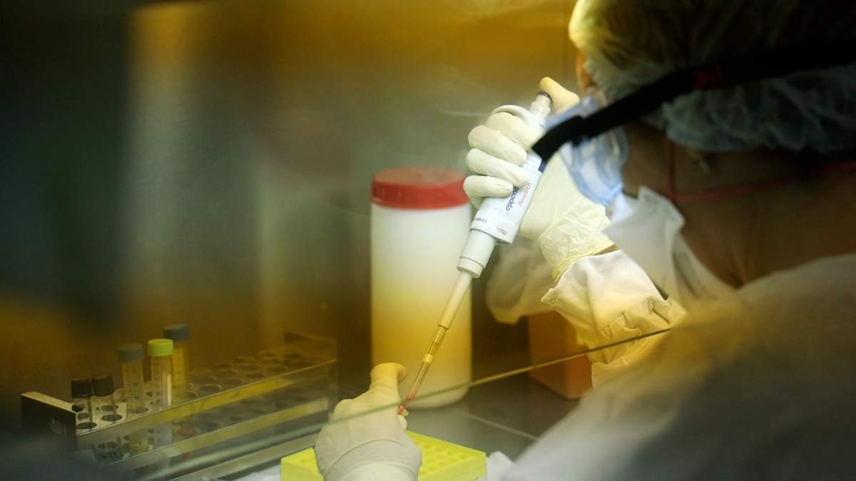 Coronavirus en Neuquén Fuente: (Twitter)