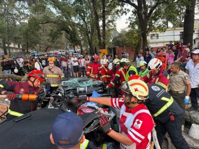 Mueren tres personas al caer árbol sobre autos en la México-Cuernavaca al término de Semana Santa