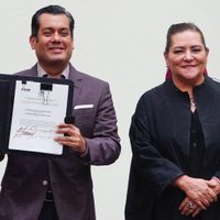 Taddei defiende repartición en el Congreso: “El INE no regala diputaciones ni senadurías”