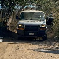 FGR exhuma más cuerpos en Concordia, Sinaloa