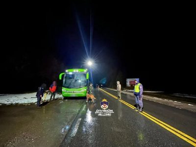 Detuvieron a una mujer que transportaba drogas en un colectivo en Villa La Angostura