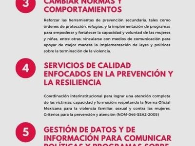 En el primer año de acción de Spotlight México, asesinatos de mujeres aumentan 9.74%